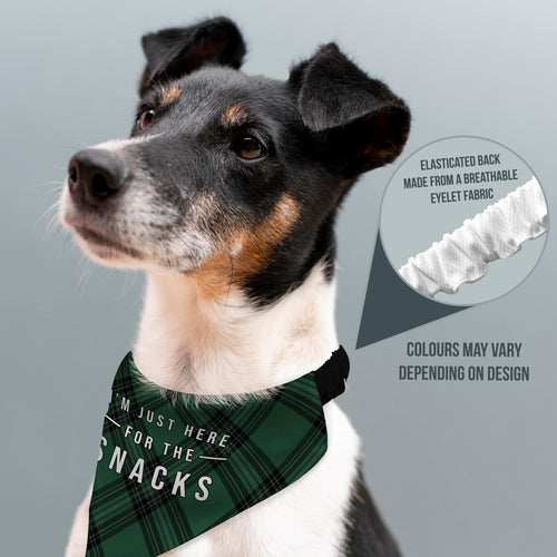 Just Here For The Snacks - Green Tartan - Dog Bandana - 4 Sizes