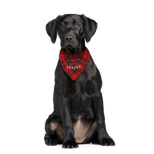 Just Here For The Snacks - Red Tartan - Dog Bandana - 4 Sizes