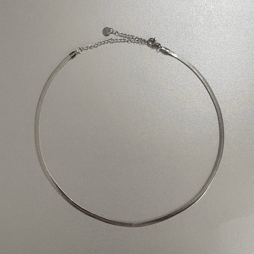 Catalina Luxe Silver Choker Necklace