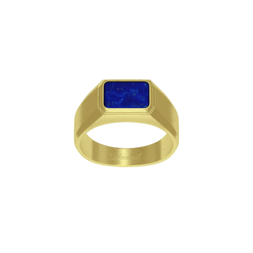 Atlas Ring 18K Vermeil