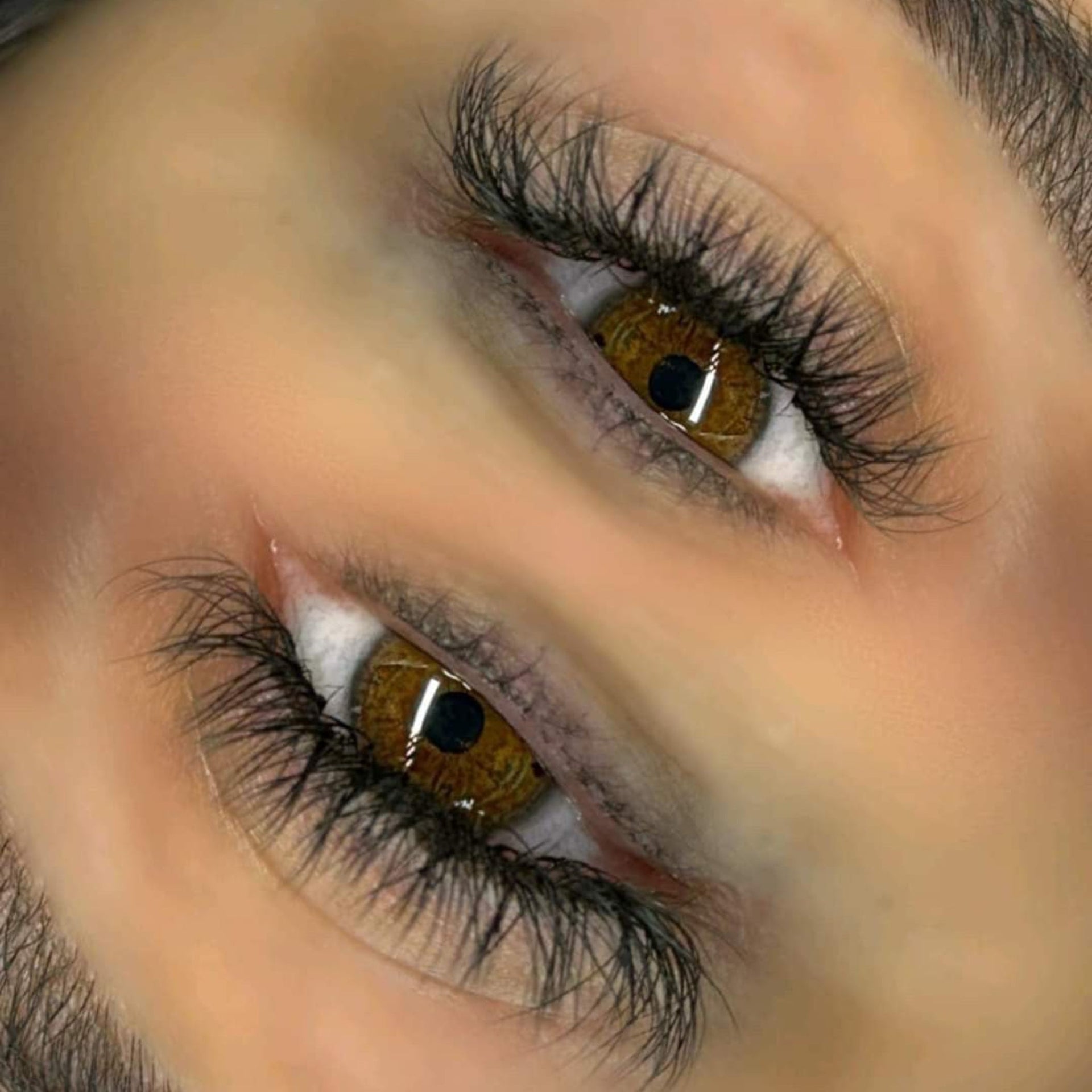 YY Lashes 16 Row Mixed Tray
