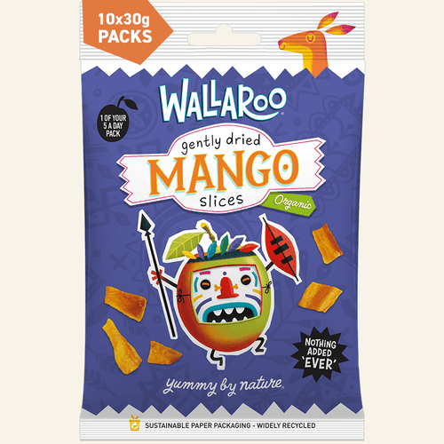 Organic Gently Dried Mango Slices