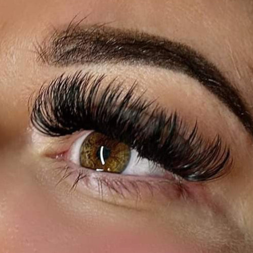 Mega Volume 16 Row Lash Tray