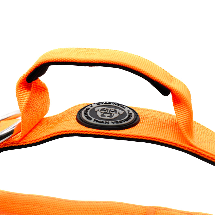 4cm Nylon BTactical™ Collar | Citrus Orange