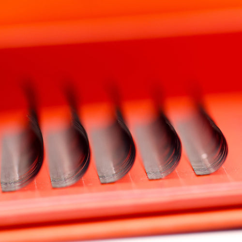 Sample Tray Angel Lash Fans