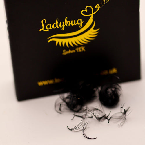 Loose Promades D Curl 8d-20d