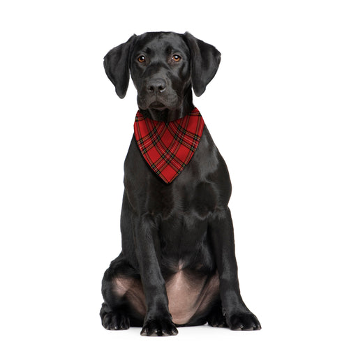 Red Tartan - Dog Bandana - 4 Sizes