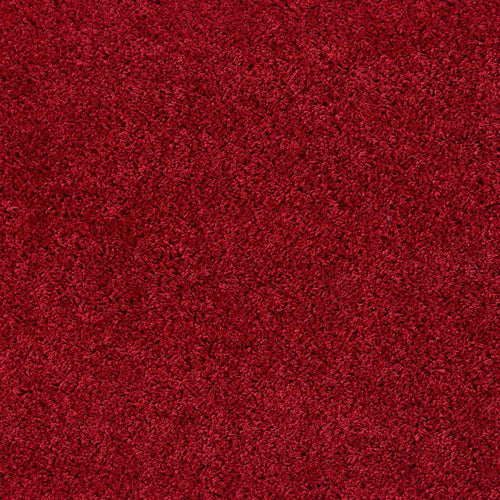 Washable Red Shaggy Rug