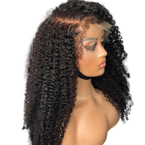 Brazilian 4C Blend Edges Afro Kinky Curly 360 Full Lace Wig 100% Human Hair 13x4 Lace Frontal Wigs Human Hair Bye-Bye Knots 250%