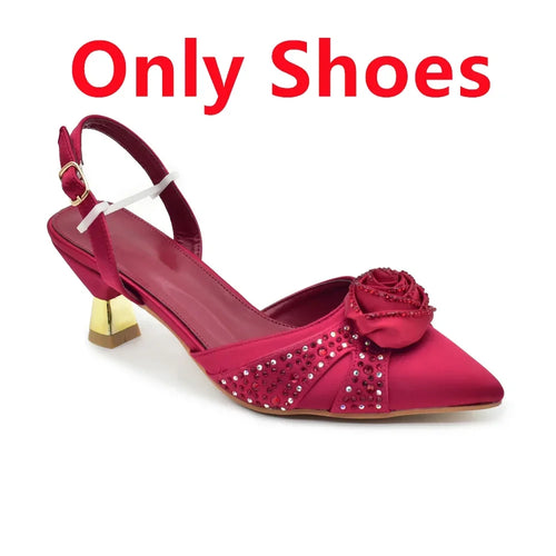 New Fashion Women Shoes and Bags To Match Set Nigeria Party Women's Pumps with