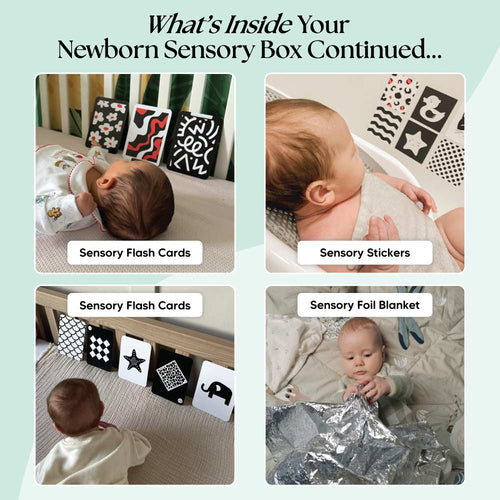 The Newborn Sensory Box (0-6+ Months)