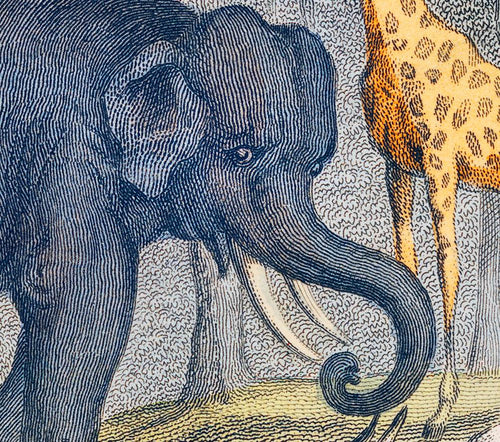 "A History of the Earth and Animated Nature" on Framed Canvas, Acrylic, Canvas, Framed Prints or Print-only
