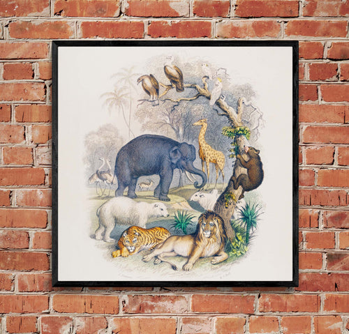 "A History of the Earth and Animated Nature" on Framed Canvas, Acrylic, Canvas, Framed Prints or Print-only