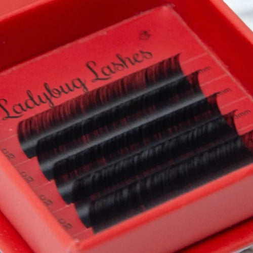 Sample Volume Lash Tray