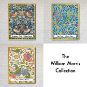 "Four Fruits" by William Morris on Canvas, Framed Prints, Framed Canvas, Acrylic or Print-only