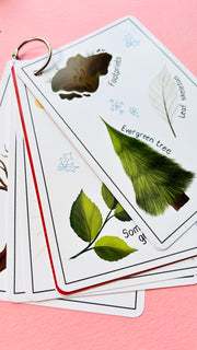 Winter Nature Scavenger Hunt Cards for Kids | Eco-Friendly Outdoor Christmas Gift