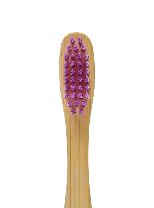 Adult Bamboo Eco Friendly Toothbrush - 1 Pack