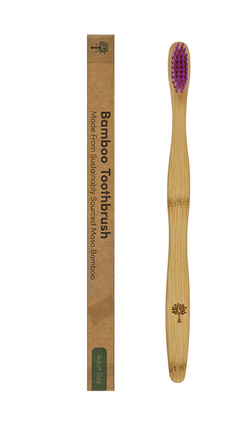 Adult Bamboo Eco Friendly Toothbrush - 1 Pack