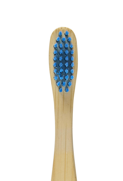 Adult Bamboo Eco Friendly Toothbrush - 1 Pack