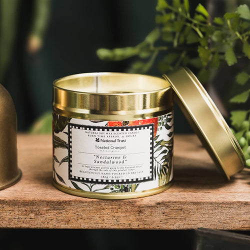 Nectarine & Sandalwood Candle in a Matt Gold Tin