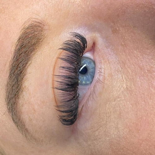 Sample Anime Feather Lash Tray