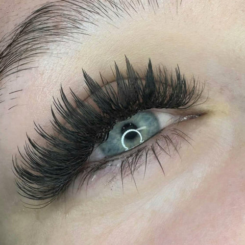 Sample Anime Feather Lash Tray