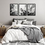 Art In Frames | Set of 3 Botanical Wall art Prints
