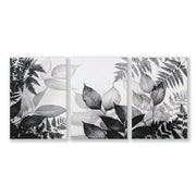 Art In Frames | Set of 3 Botanical Wall art Prints