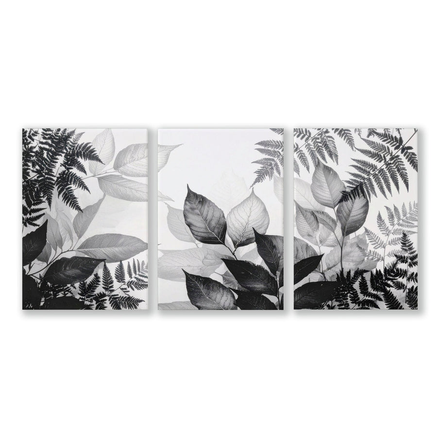 Art In Frames | Set of 3 Botanical Wall art Prints