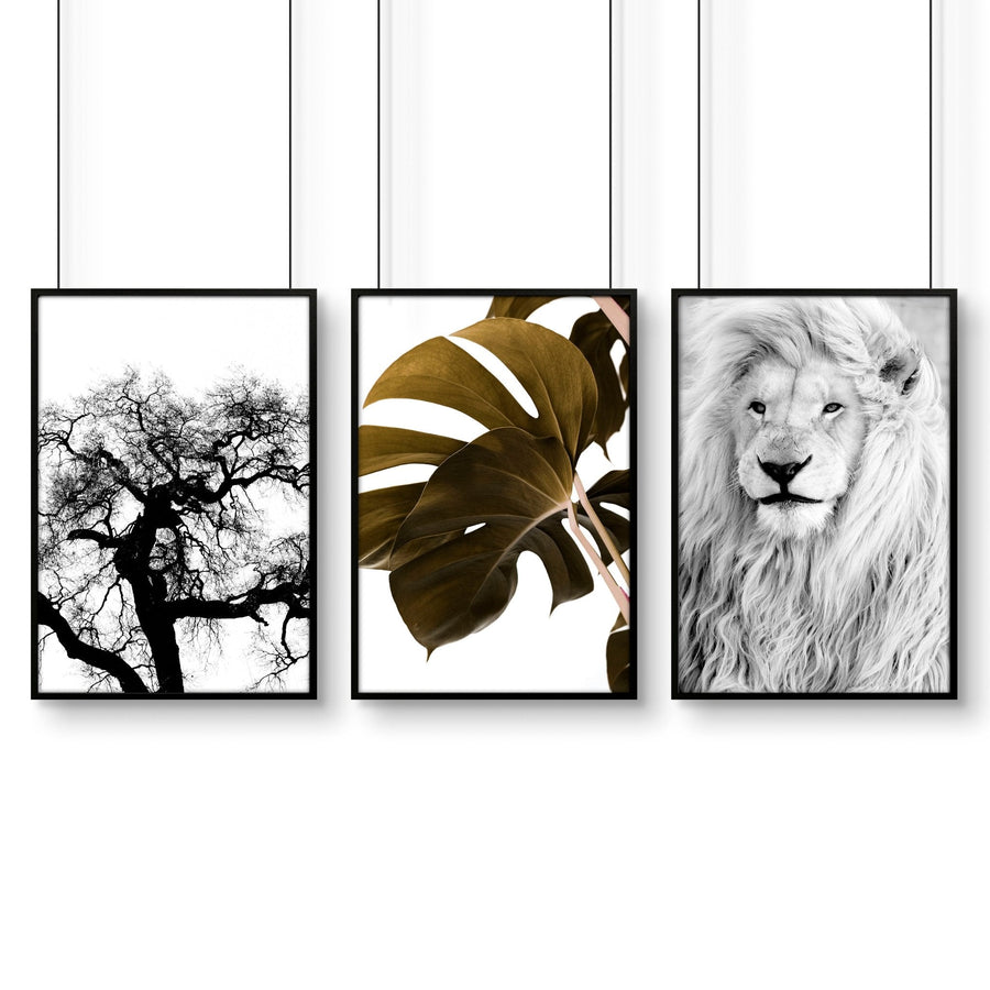 Bedroom Art Work decor | Set of 3 Wildlife Wall art Prints
