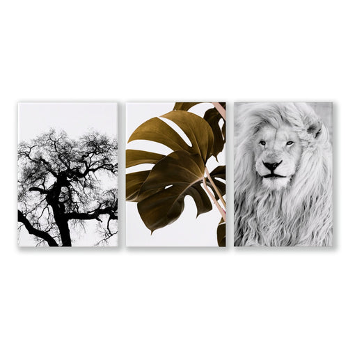 Bedroom Art Work decor | Set of 3 Wildlife Wall art Prints