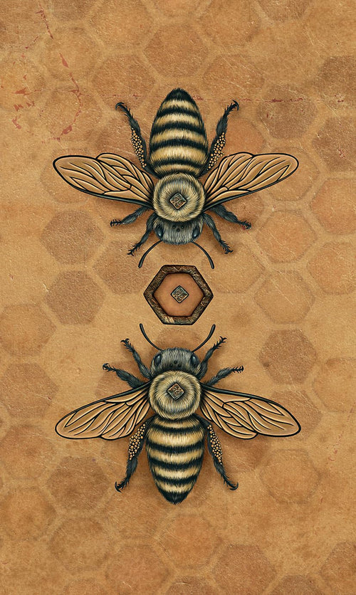 Bee Tarot by Kristoffer Hughes & Nadia Turner