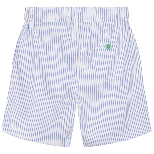 Monk Seal long shorts