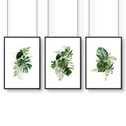 Framed Botanical Prints Set of 3 | Tropical Wall Art