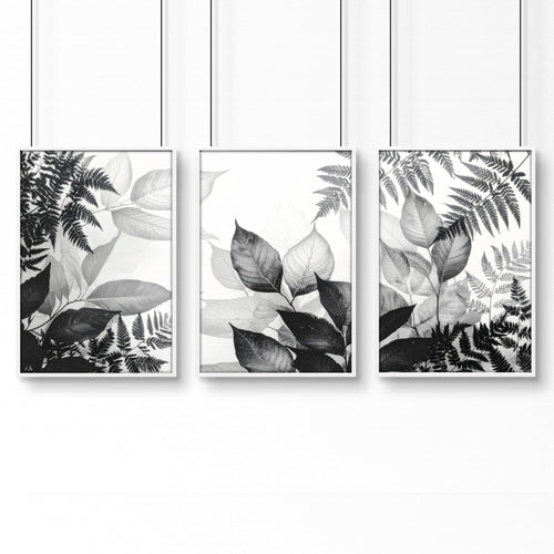 Botanical Wall Art | Set of 3 Botanical Wall art Prints