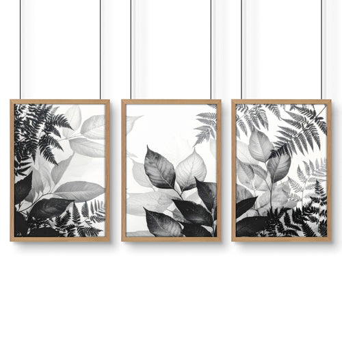 Botanical Wall Art | Set of 3 Botanical Wall art Prints
