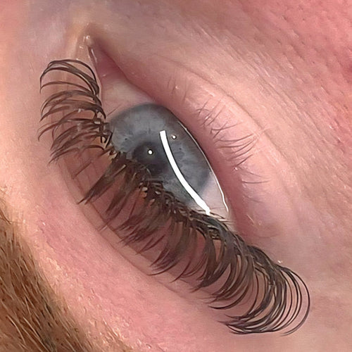 Brown Angel Lash 16 Row Mixed Tray