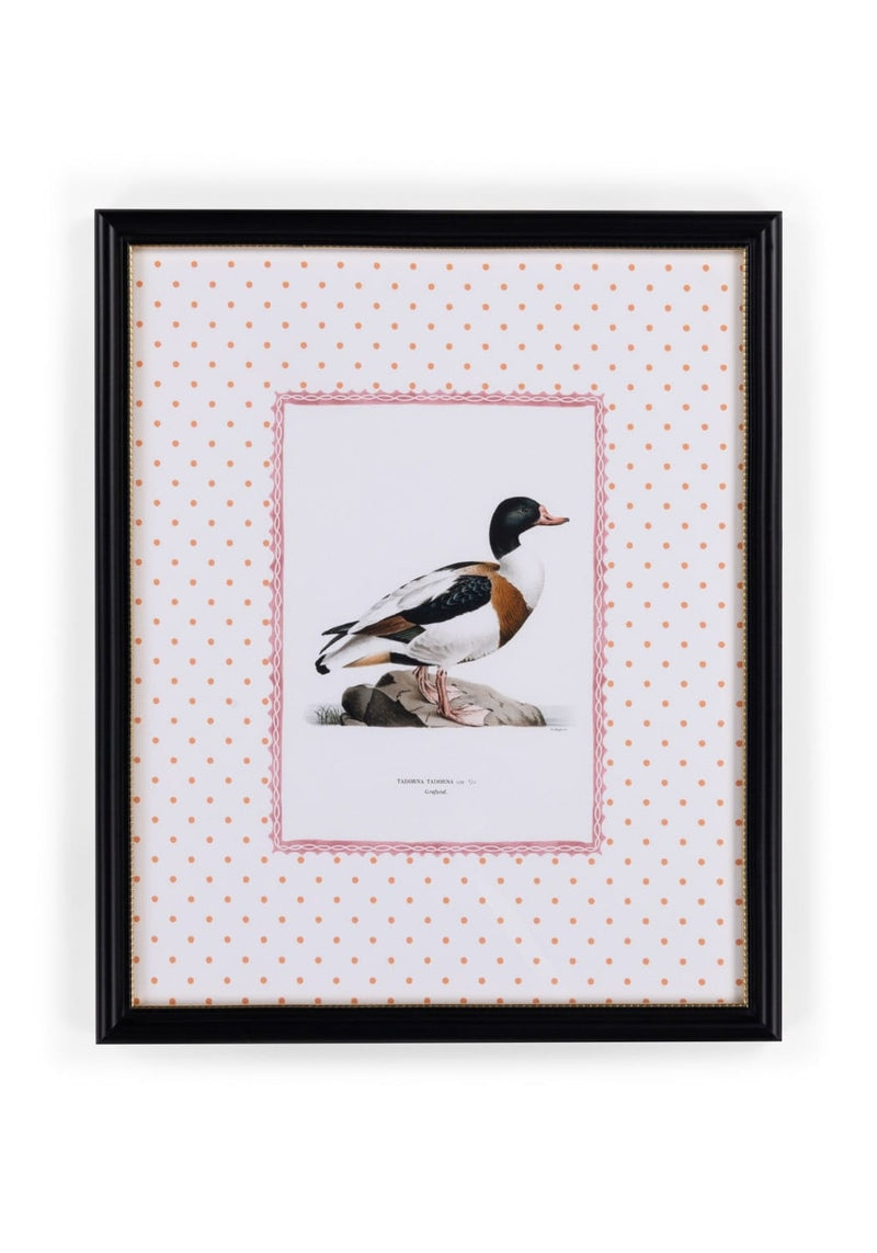 Duck IV Framed Print- The Prettiest By Far
