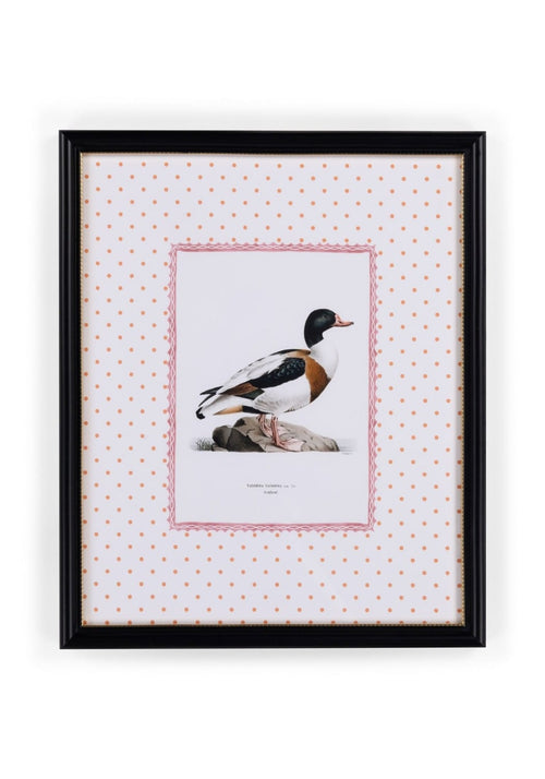 Duck IV Framed Print- The Prettiest By Far
