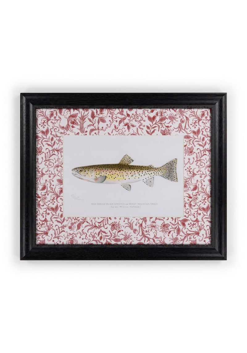 Fish II Framed Print- A Quiet Classic with Personality