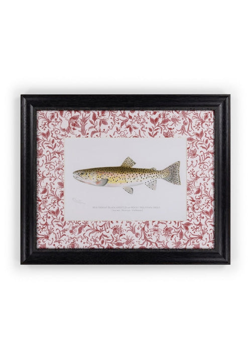 Fish II Framed Print- A Quiet Classic with Personality
