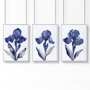 Canvas Pictures For Walls | Set of 3 Botanical Wall art Prints