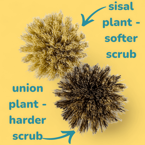 Pot Scrubbing Brushes | Set of 2