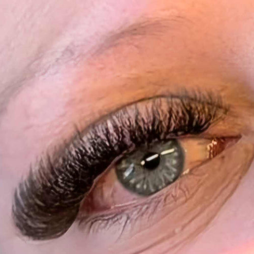 Brown 6D Clover Lash 16 Row Mixed Tray