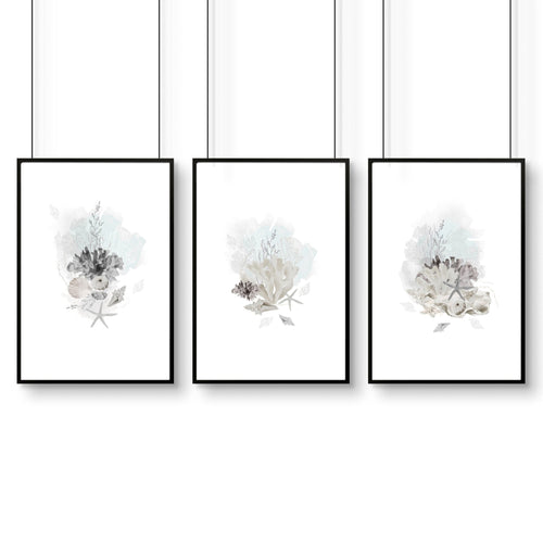Home Office wall art | set of 3 Coastal Seashells artwork prints