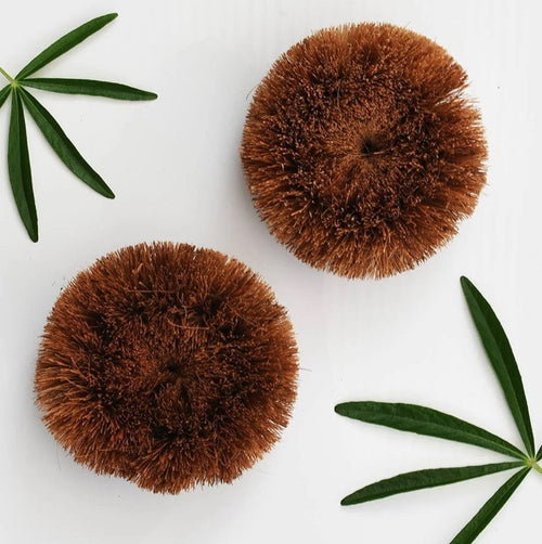 Coconut Plastic Free Scourer Dish Brush, Eco Friendly Washing Brush