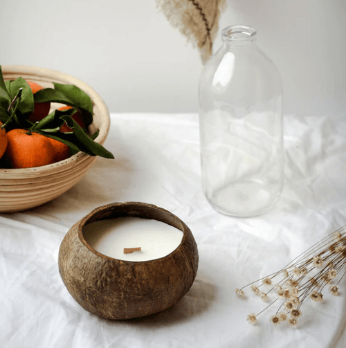 Coconut Shell Candle - Citrus Lime Scent
