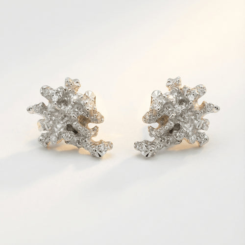Dainty Saltwater Coral Stud Earrings - Gold or Silver