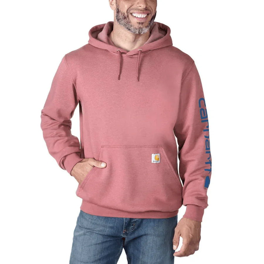 Carhartt K288 Loose Fit Midweight Logo Sleeve Graphic Hoodie NEW 2025 COLOURS