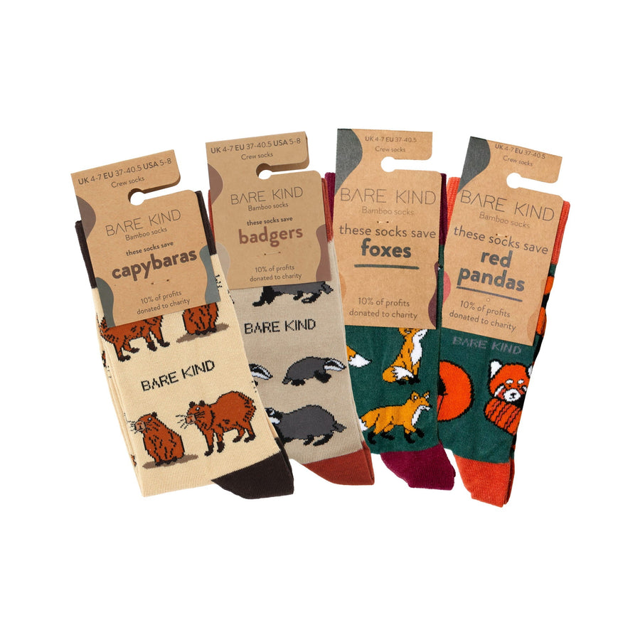 Earthy 4 Pack Bamboo Sock Set